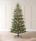 Northlight 50-Count Warm White LED - Image 4